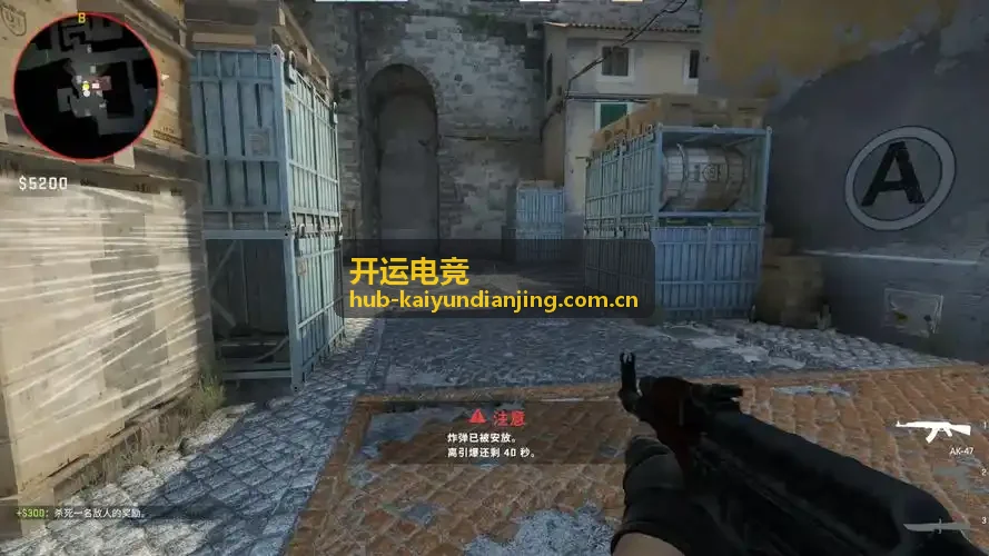 开运电竞选手故事专题报道